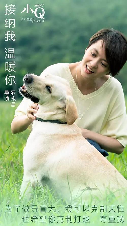 哪里能买到中佩恩学院文凭毕业证